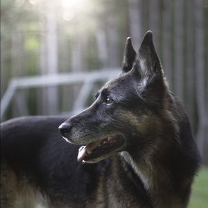 Meet your Posher, Carolyn